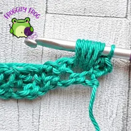 9 loops on your hook to make the Aligned Puff stitch