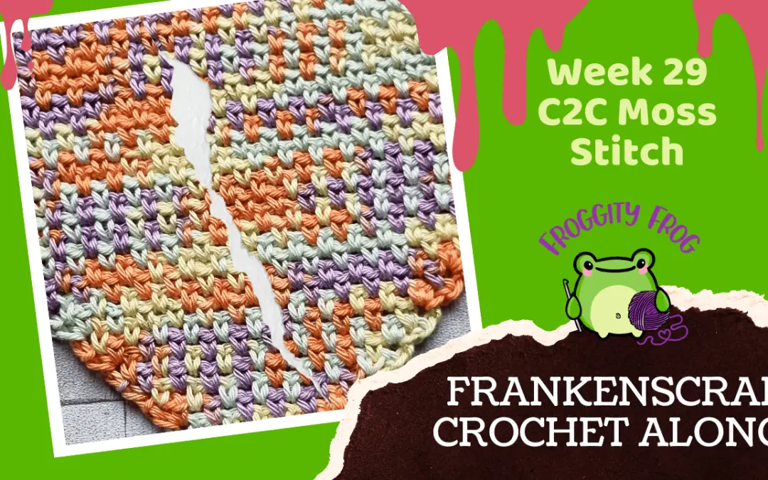 Week 29 Of The FrankenScrap Crochet Along