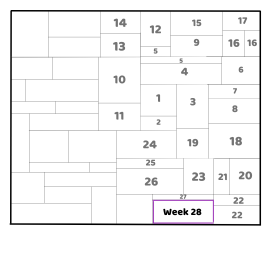 Week 28 of the FrankenScrap layout