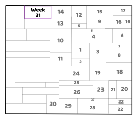 Week 31 FrankenScrap Layout