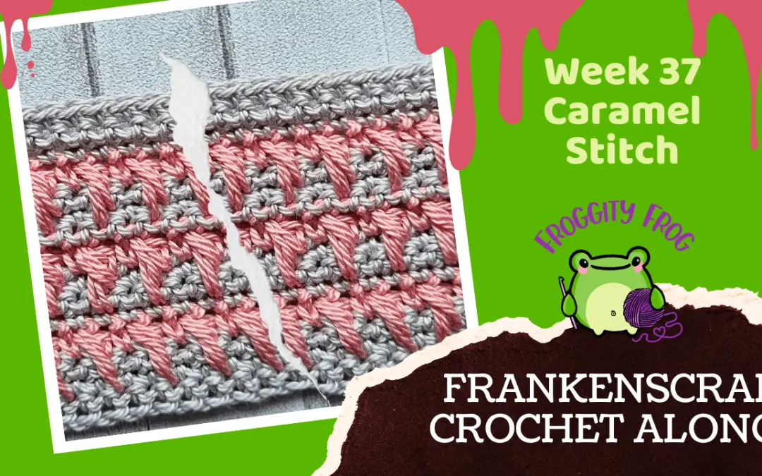 Week 37 Of The FrankenScrap Crochet Along