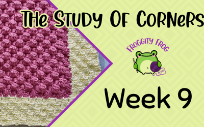 Week 9 Of The Study Of Corners Crochet Along